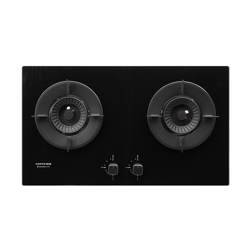 Groothandel 2-pits LPG-gaskook - Electronics & Gadgets Starting With V recensie en prijs